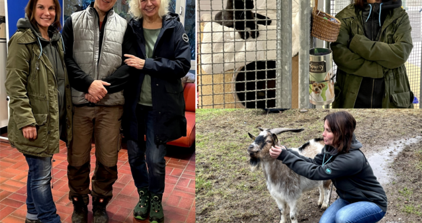 Katy zu Besuch im Tierheim Dreieich